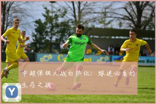 中超保级大战白热化：球迷必看的生存之战