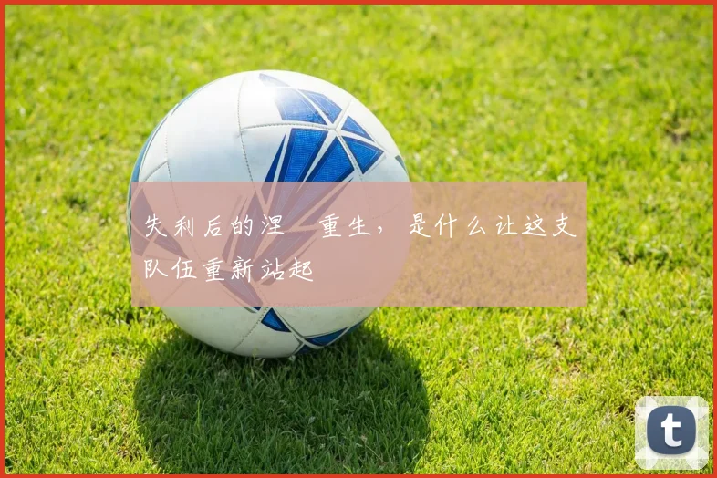 失利后的涅槃重生,是什么让这支队伍重新站起