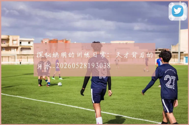探秘姚明的训练日常：天才背后的汗水_20260528193038